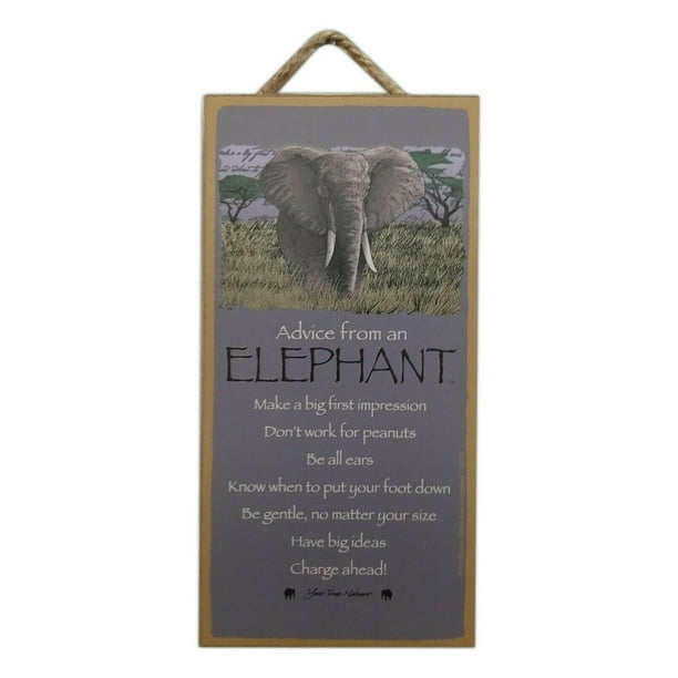 ADVICE FROM AN ELEPHANT Know When To Put Foot Down Wood Hanging Plaque 5" x 10"